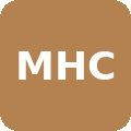 Mondragon Handyman & Construction